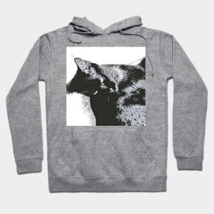 BLACK LIVE CAT Hoodie